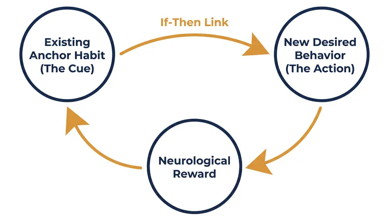 By anchoring a new action to an existing cue, the brain bypasses the prefrontal cortex and relies on the basal ganglia's automated pathways.