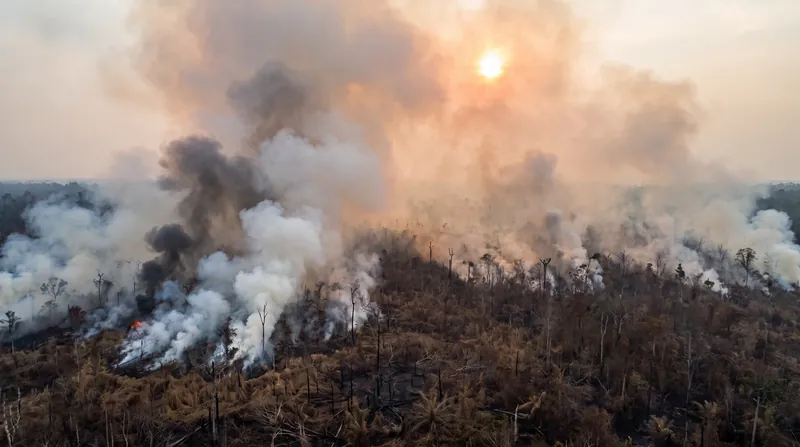 Thick smoke rising from a burning tropical forest in Indonesia, obscuring the sky.