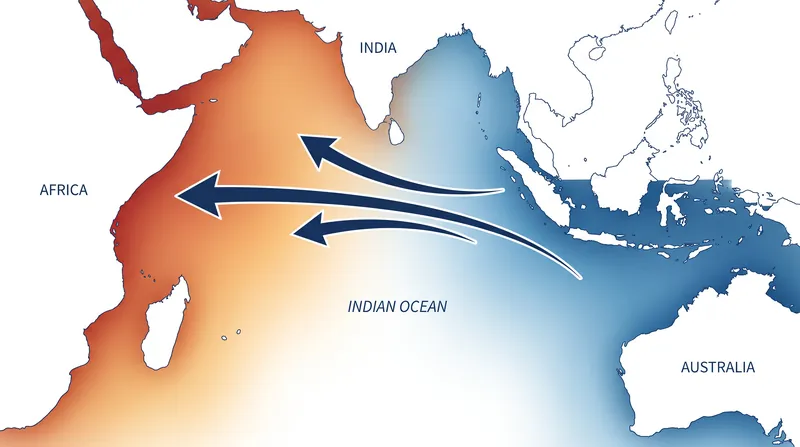 During a positive Indian Ocean Dipole, warm water pools in the west while cold water upwells in the east.