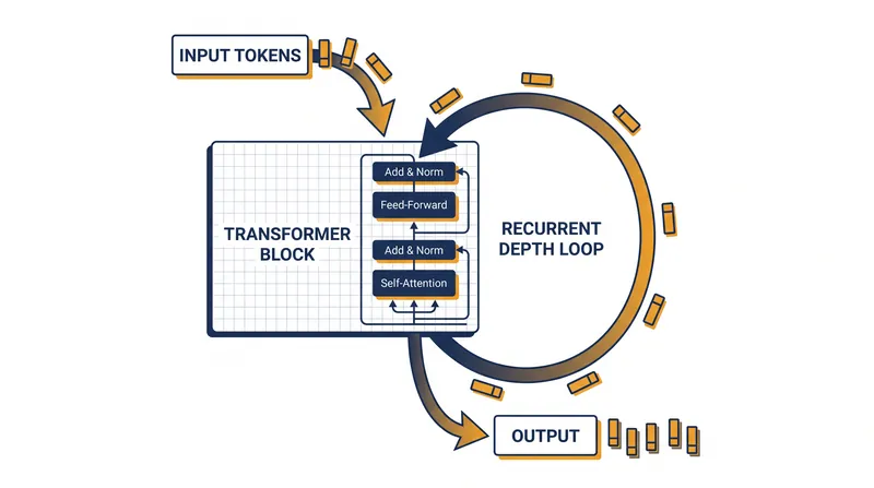 The recurrent depth architecture routes tokens through the same layers multiple times to increase reasoning capacity.