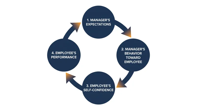 The Pygmalion effect operates as a continuous feedback loop where expectations dictate behavior and outcomes.