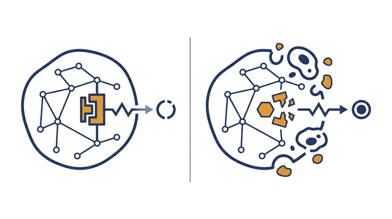 Senolytics do not poison cells; they disable the survival networks that senescent cells rely on to resist apoptosis.