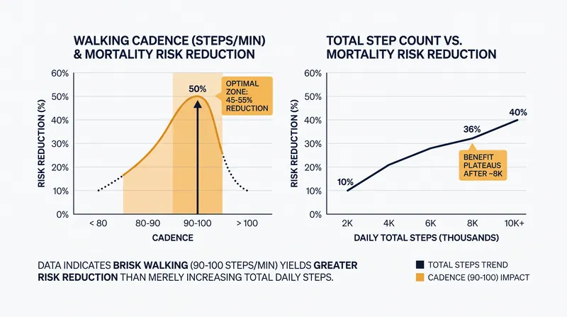 How stepping pace and total step count independently contribute to lowering mortality risk.