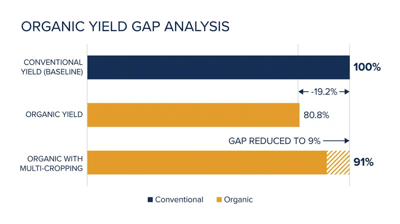 While organic yields average 19.2% lower than conventional farming, agroecological practices like multi-cropping can cut the deficit in half.