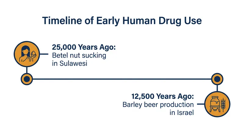 The Sulawesi discovery pushes the timeline of human drug use tens of thousands of years before the agricultural revolution.