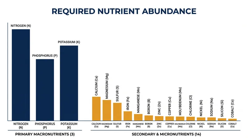 Plants require 17 essential nutrients, but a deficiency in just one trace element can halt all biological development.