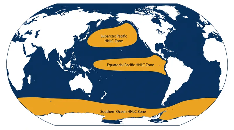 In roughly 25 percent of the global ocean, iron acts as the limiting stave, leaving abundant macronutrients unused.