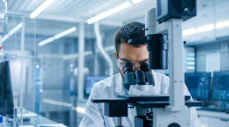 A scientist looking through a binocular microscope in a brightly lit modern laboratory setting.