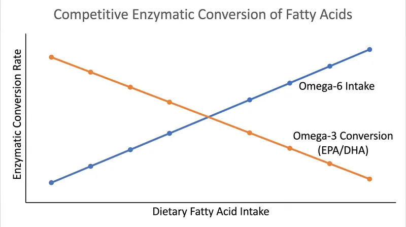 High omega-6 intake monopolizes the enzymes needed to process omega-3s, blunting their anti-inflammatory effects.