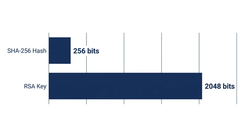 Standard cryptographic component sizes in modern digital signatures.