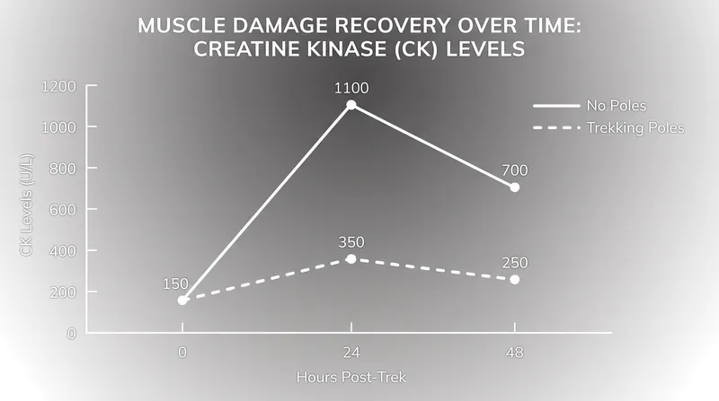 Hikers using poles on Mount Snowdon showed significantly lower markers of muscle fiber damage 48 hours after the descent.