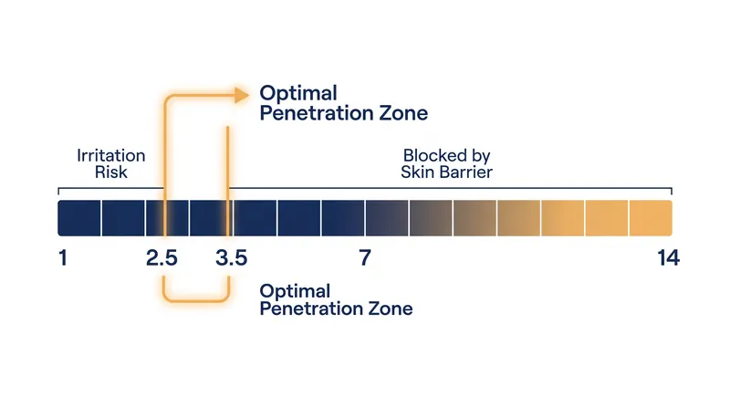 The narrow pH window required for L-ascorbic acid to cross the stratum corneum.