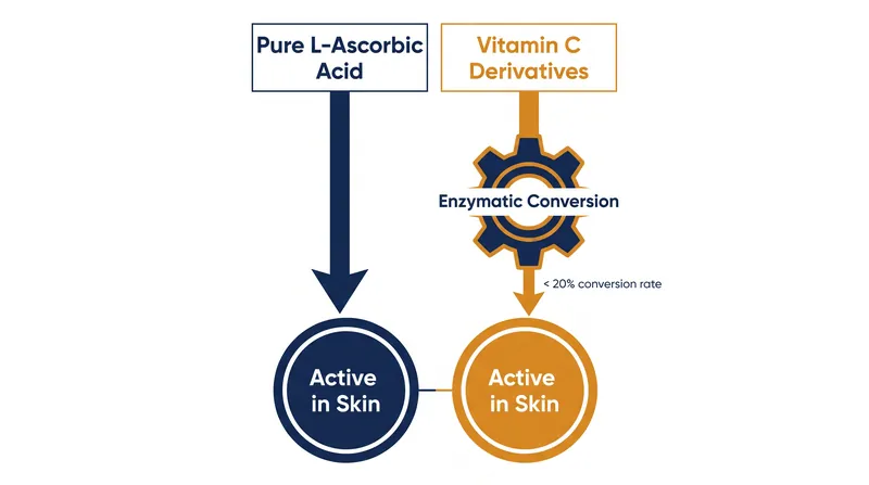 While derivatives are more stable, they require inefficient enzymatic conversion to become active in the skin.