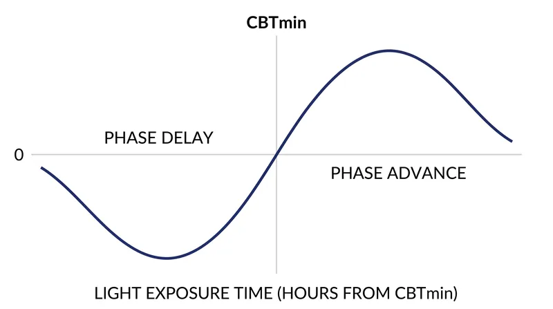 The Phase Response Curve dictates how light exposure either advances or delays the circadian rhythm based on the core body temperature minimum.