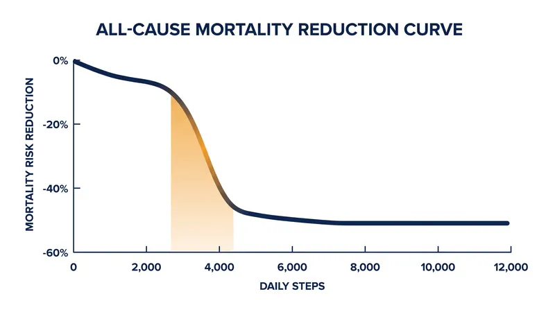 For older adults, the steepest drop in mortality risk occurs before 5,000 steps, plateauing entirely at 7,500.