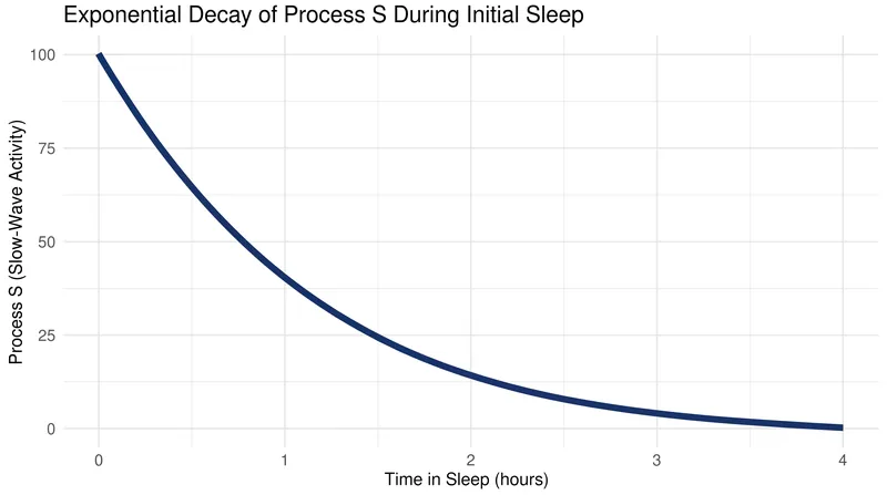 Homeostatic sleep pressure dissipates most rapidly during the initial hours of slow-wave sleep.