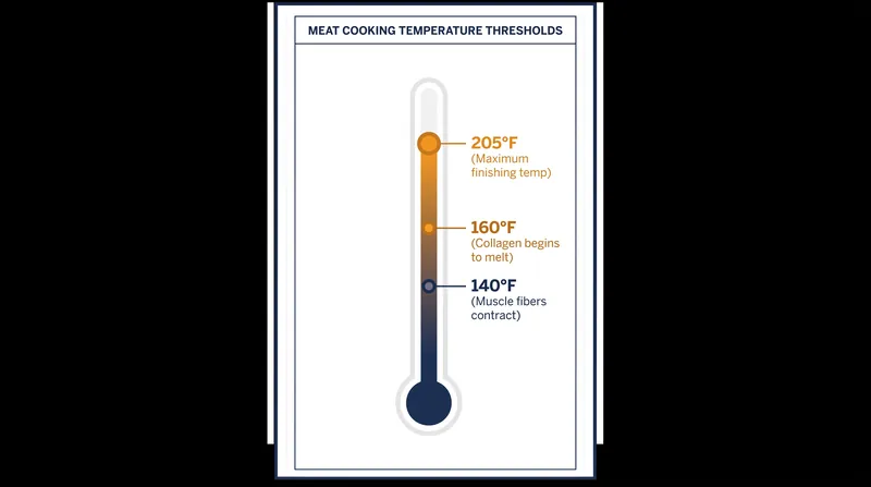 The critical temperature thresholds that dictate how muscle fibers and connective tissues react to heat.