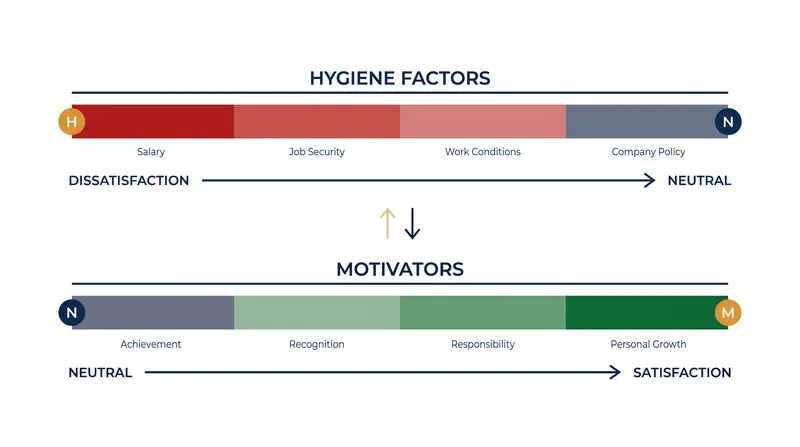 Hygiene factors eliminate dissatisfaction, while motivators generate active satisfaction.