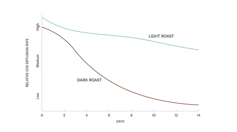 Darker roasts degas more rapidly due to their more porous, fractured cellular structure.