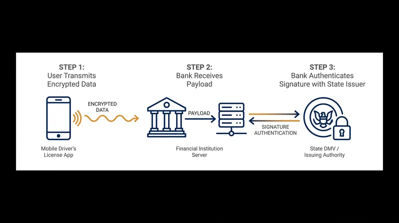 Banks must cryptographically verify the digital credential directly with the issuing state authority.