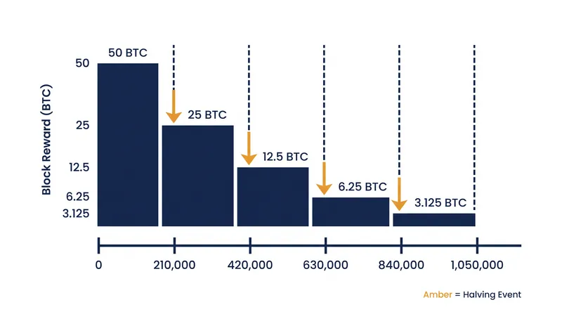 The protocol mandates a 50% reduction in the block reward exactly every 210,000 blocks.