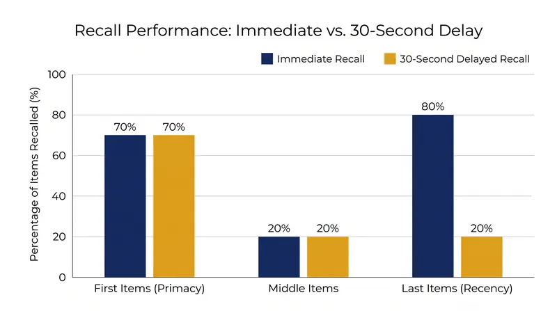 A 30-second interference task destroys the recency effect while leaving the primacy effect intact.