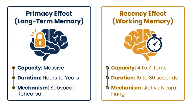 The biological constraints separating long-term storage from the working memory buffer.