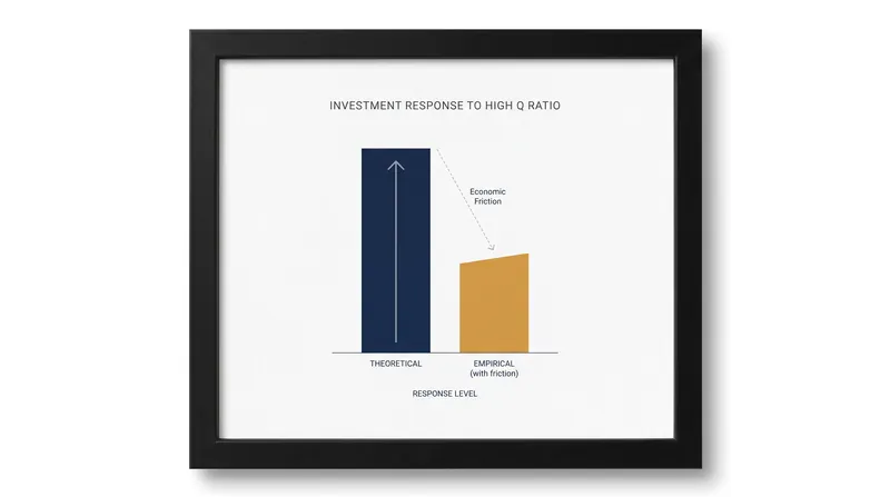 Empirical panel data consistently shows a smaller investment response than theoretical models predict.