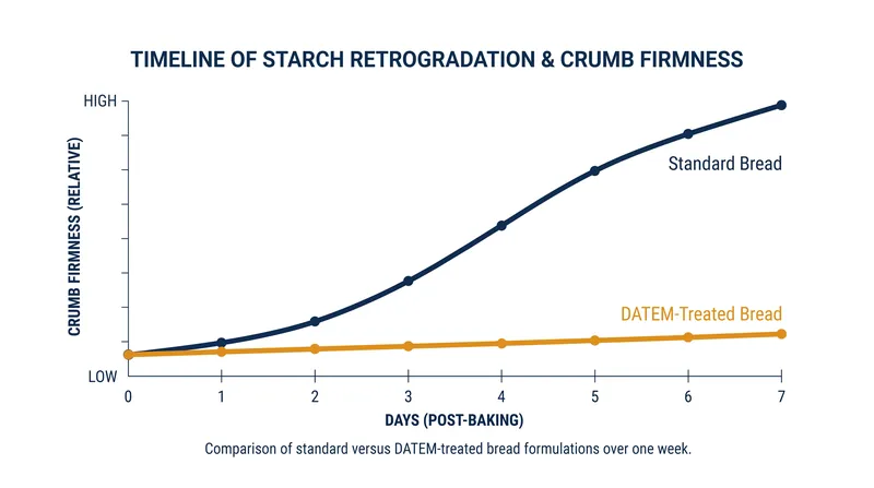 DATEM flattens the curve of starch retrogradation, preventing the crumb from firming over a 7-day window.