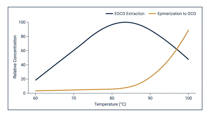 EGCG extraction peaks between 80°C and 85°C, after which high heat forces the molecules to epimerize into bitter GCG.