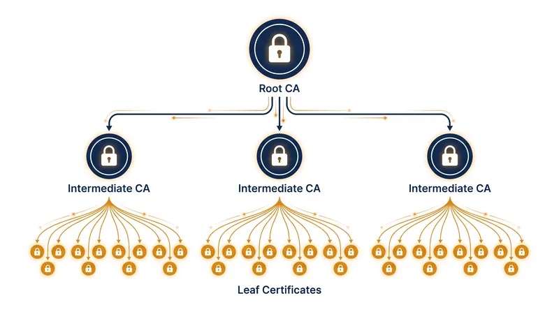 The hierarchical structure of the Public Key Infrastructure isolates the root certificate from daily network exposure.