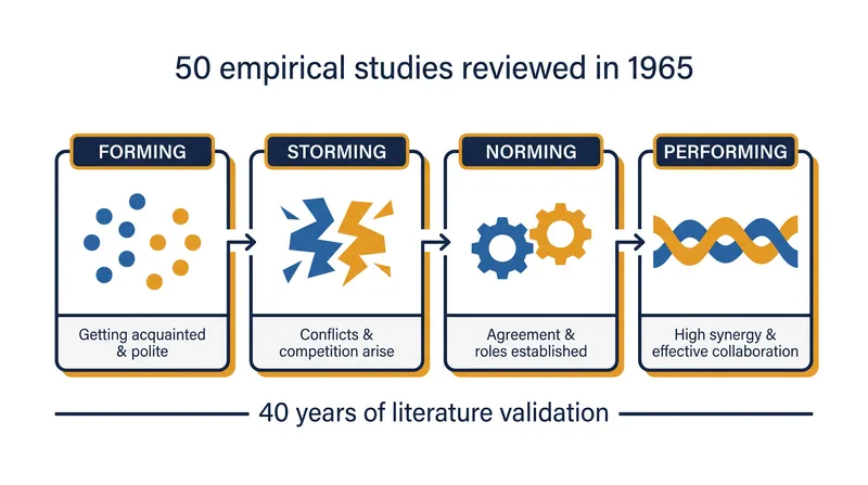 Bruce Tuckman's four-stage model of group development, derived from 50 empirical studies in 1965.