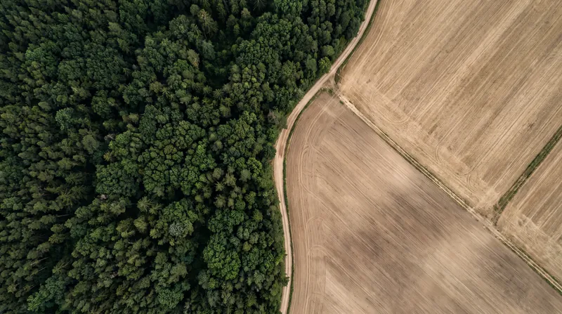 Aerial view showing a sharp boundary between a dense green forest and cleared agricultural land.