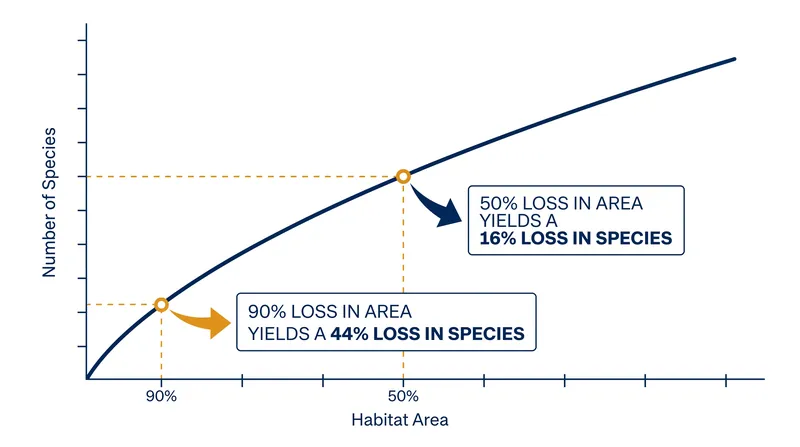 The 0.25 exponent dictates a nonlinear relationship between habitat area and species richness.