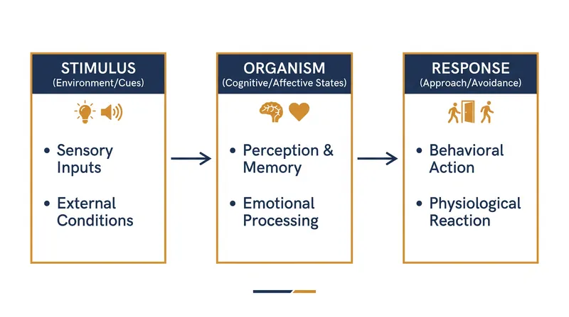 The three pillars of the Stimulus-Organism-Response framework.