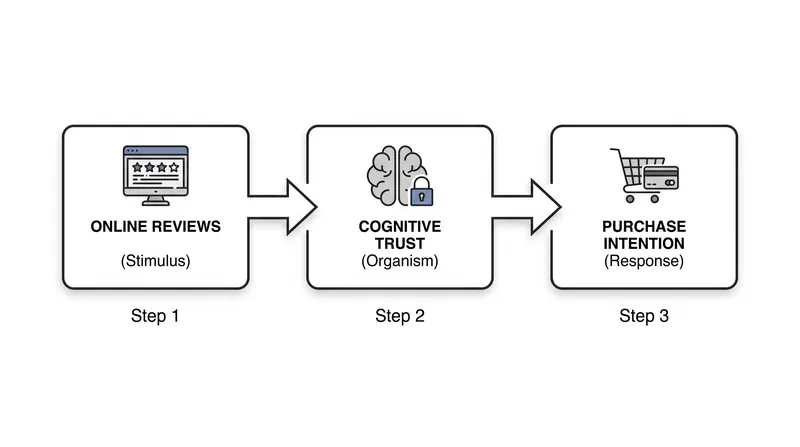 In digital environments, informational stimuli like reviews must build cognitive trust before triggering a purchase response.