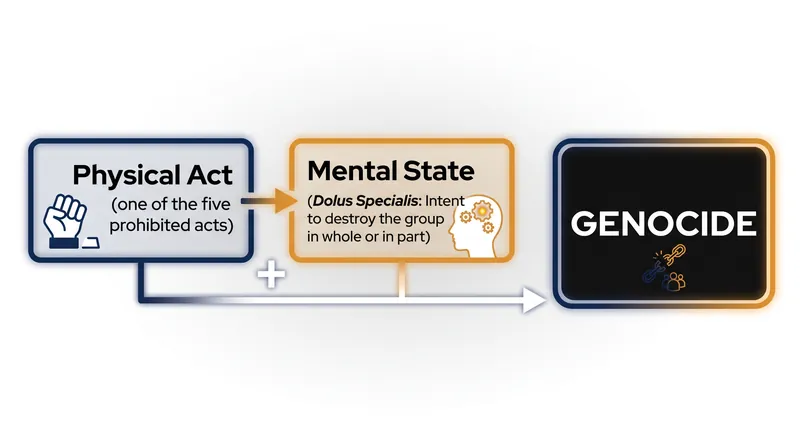 Genocide requires both the commission of a prohibited act and the specific intent to destroy a protected group.