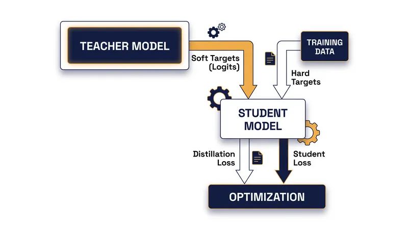 The student model learns by matching the full probability distribution of the teacher model, rather than just the final correct answer.