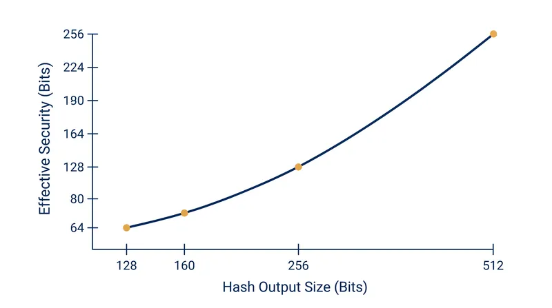 The Birthday Attack reduces the effective collision resistance of any hash function to exactly half its stated bit length.