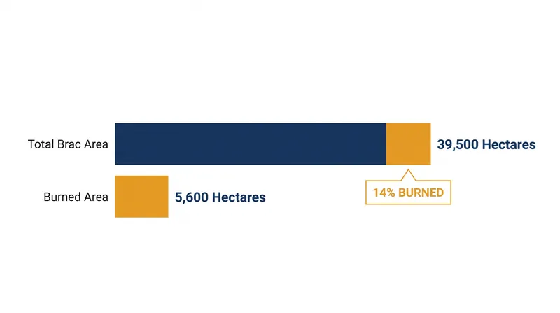 The wildfire has consumed approximately 14 percent of the island's total landmass.