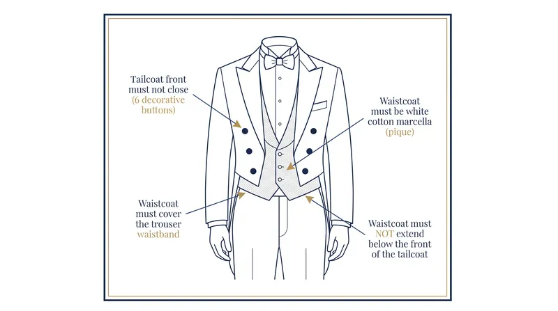 The precise relationship between the tailcoat and the waistcoat is the most critical fit detail in white tie.