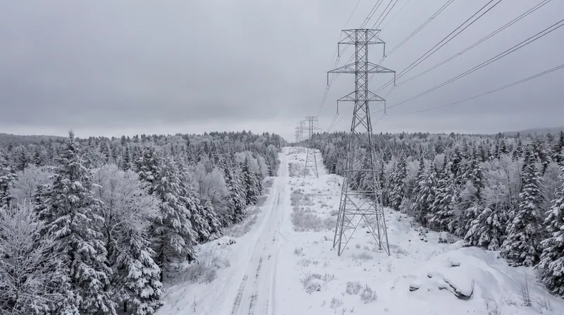 High-voltage transmission towers standing in a snow-covered pine forest under an overcast winter sky.
