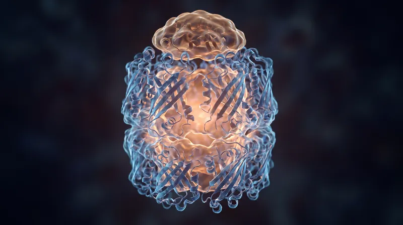 A 3D molecular rendering showing the barrel-shaped GroEL protein complex with its GroES lid attached.