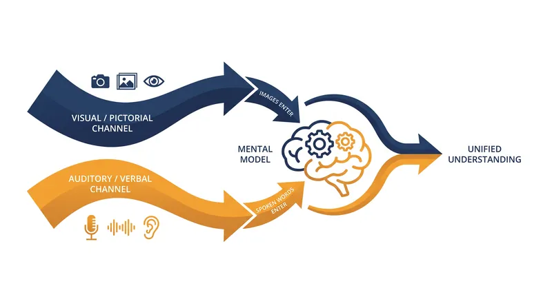 Allan Paivio's Dual Coding Theory maps how the brain processes multimedia through two distinct pathways.