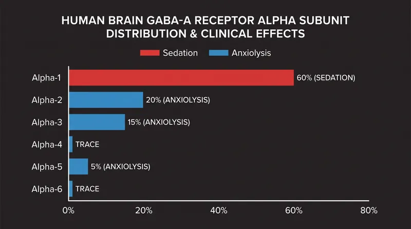 Different alpha subunits dictate the specific clinical effects of benzodiazepine modulation.