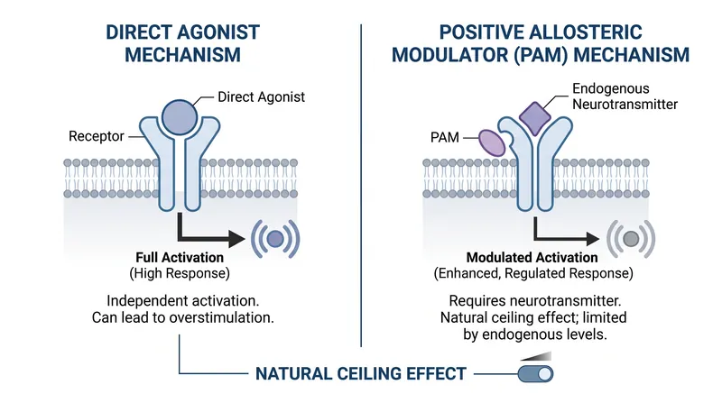 Unlike direct agonists, positive allosteric modulators cannot open the chloride channel without the presence of natural GABA.