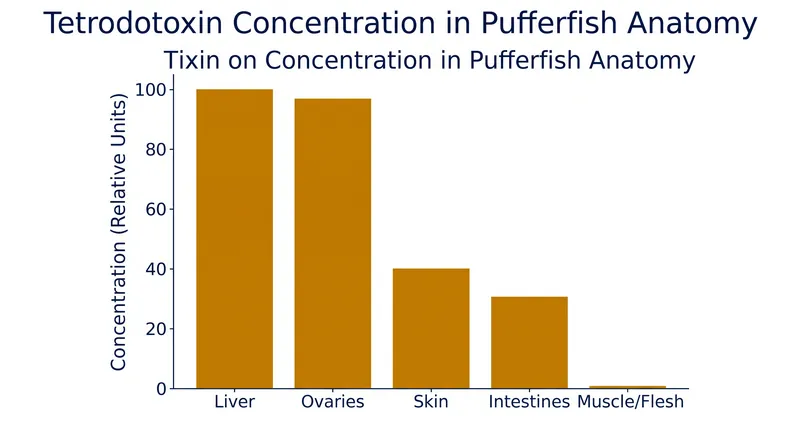 Tetrodotoxin is sequestered primarily in the pufferfish's liver and ovaries, leaving the muscle tissue safe to eat if butchered correctly.