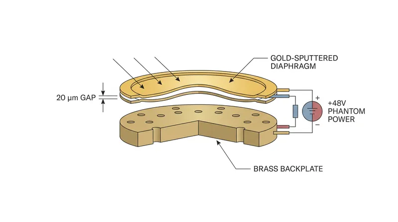 The microscopic gap between the diaphragm and backplate forms the active capacitor that translates acoustic pressure into an electrical signal.