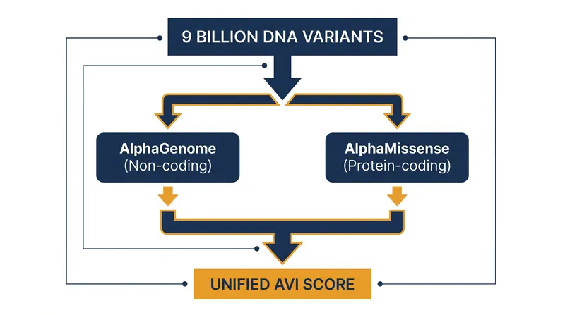 The AlphaGenome Variant Impact (AVI) score condenses predictions from two separate AI models into a single metric.