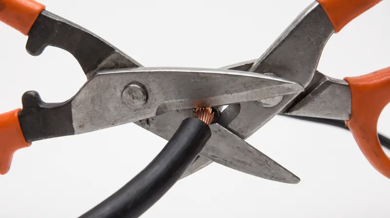 Consumers must cut the power cord and submit a photo of the destroyed device to receive a full refund.